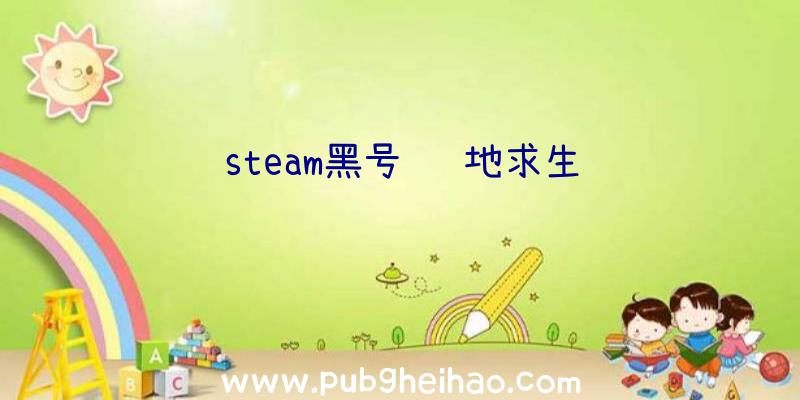 steam黑号